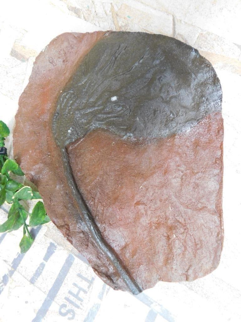 CRINOID FOSSIL ROCK STONE LAPIDARY SPECIMEN: CRINOID FOSSIL ROCK STONE LAPIDARY SPECIMEN