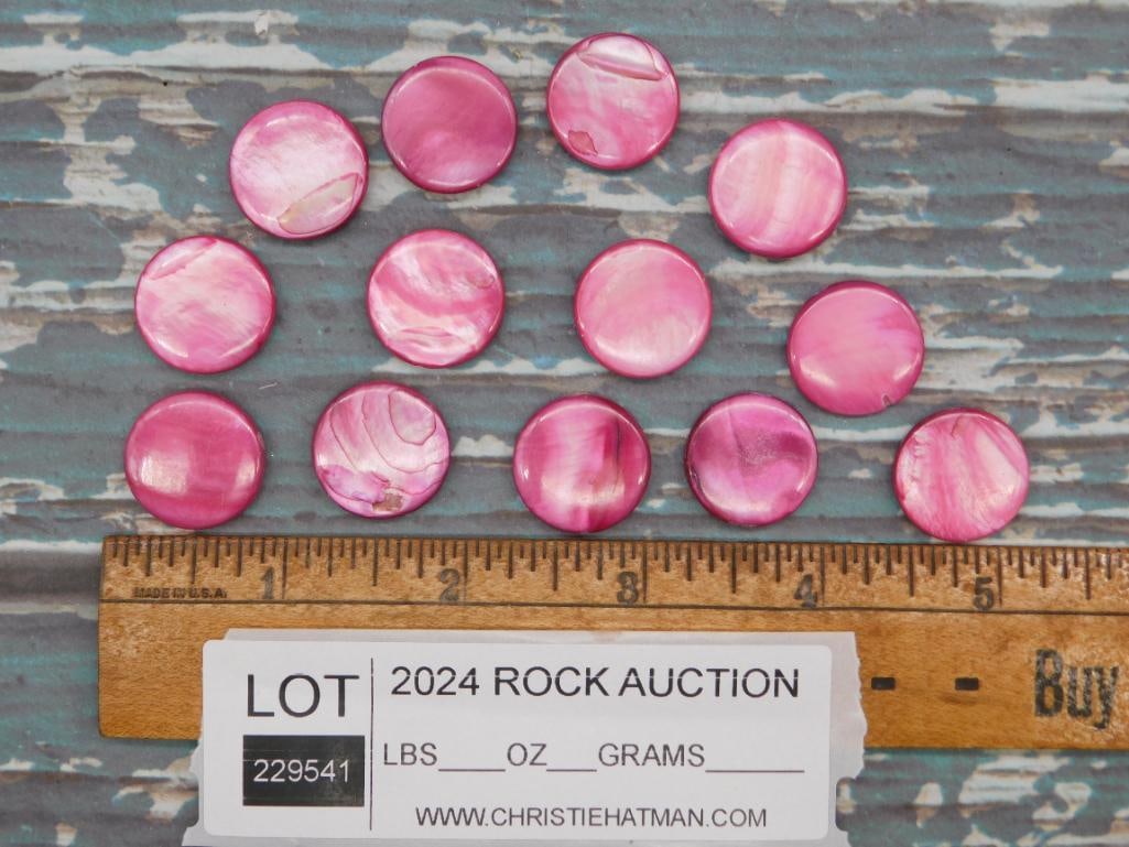 STONE SHELL BEADS ROCK STONE LAPIDARY SPECIMEN - 2