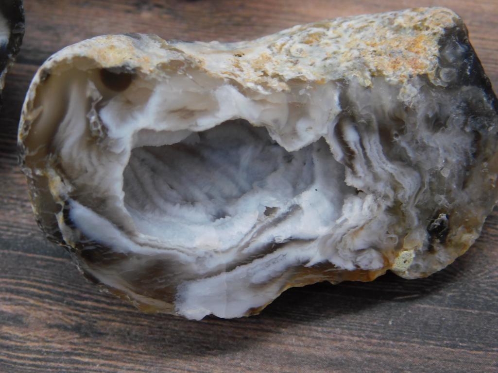 OCO GEODES ROCK STONE LAPIDARY SPECIMEN - 2