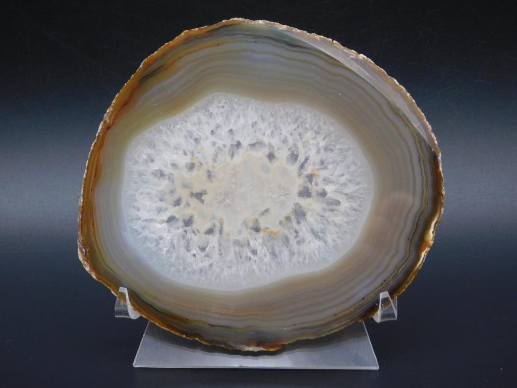 AGATE SLICE ROCK STONE LAPIDARY SPECIMEN: AGATE SLICE ROCK STONE LAPIDARY SPECIMEN