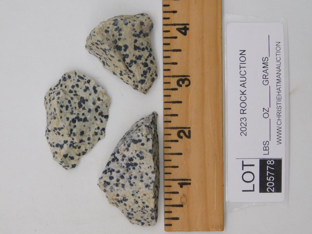 DALMATION JASPER ROCK STONE LAPIDARY SPECIMEN - 2