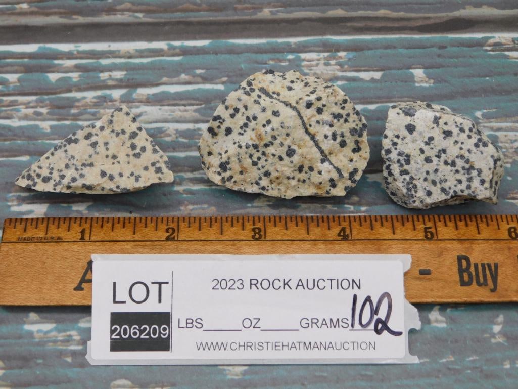 DALMATION JASPER ROCK STONE LAPIDARY SPECIMEN - 2