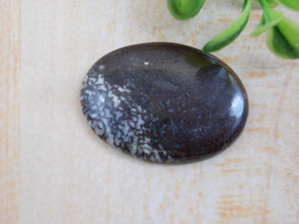 CABOCHON ROCK STONE LAPIDARY SPECIMEN (1 of 2)
