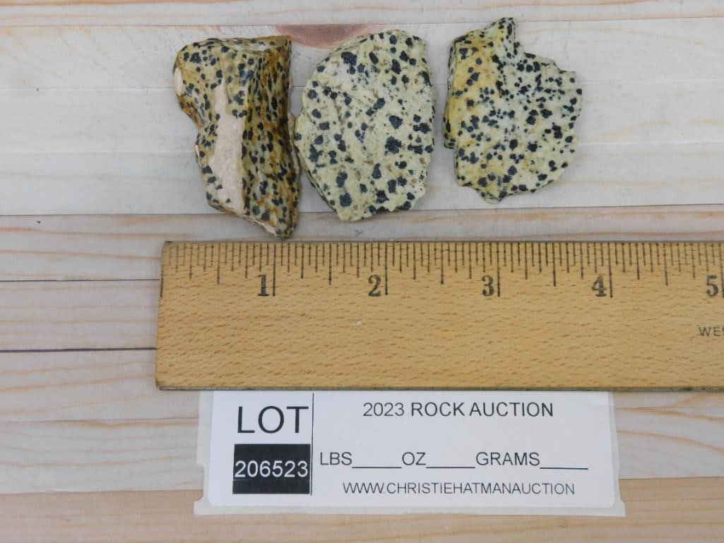 DALMATION JASPER ROCK STONE LAPIDARY SPECIMEN - 2