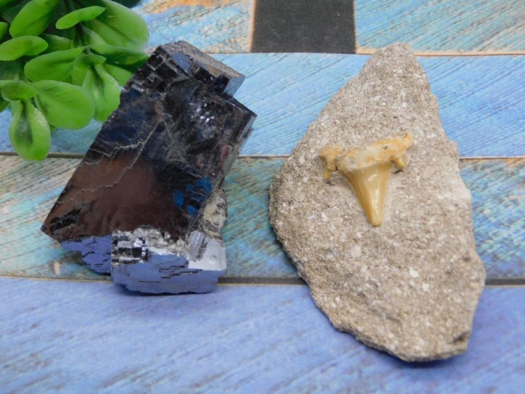 MIXED LOT ROCK STONE LAPIDARY SPECIMEN: MIXED LOT ROCK STONE LAPIDARY SPECIMEN