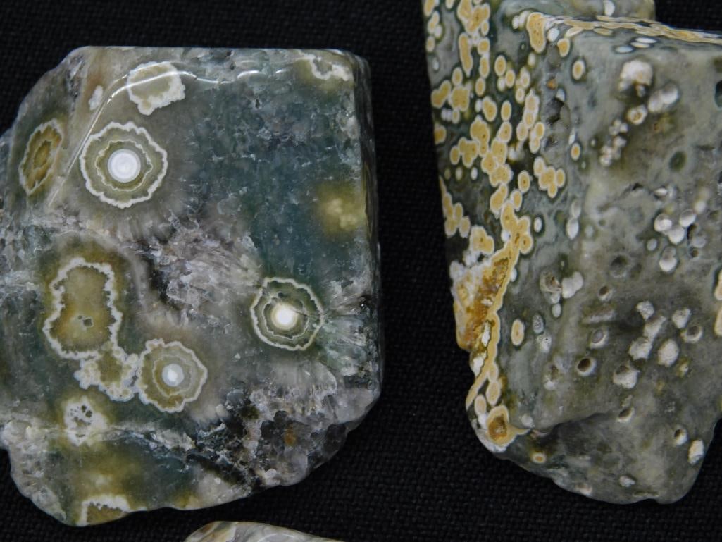 OCEAN JASPER ROCK STONE LAPIDARY SPECIMEN - 2