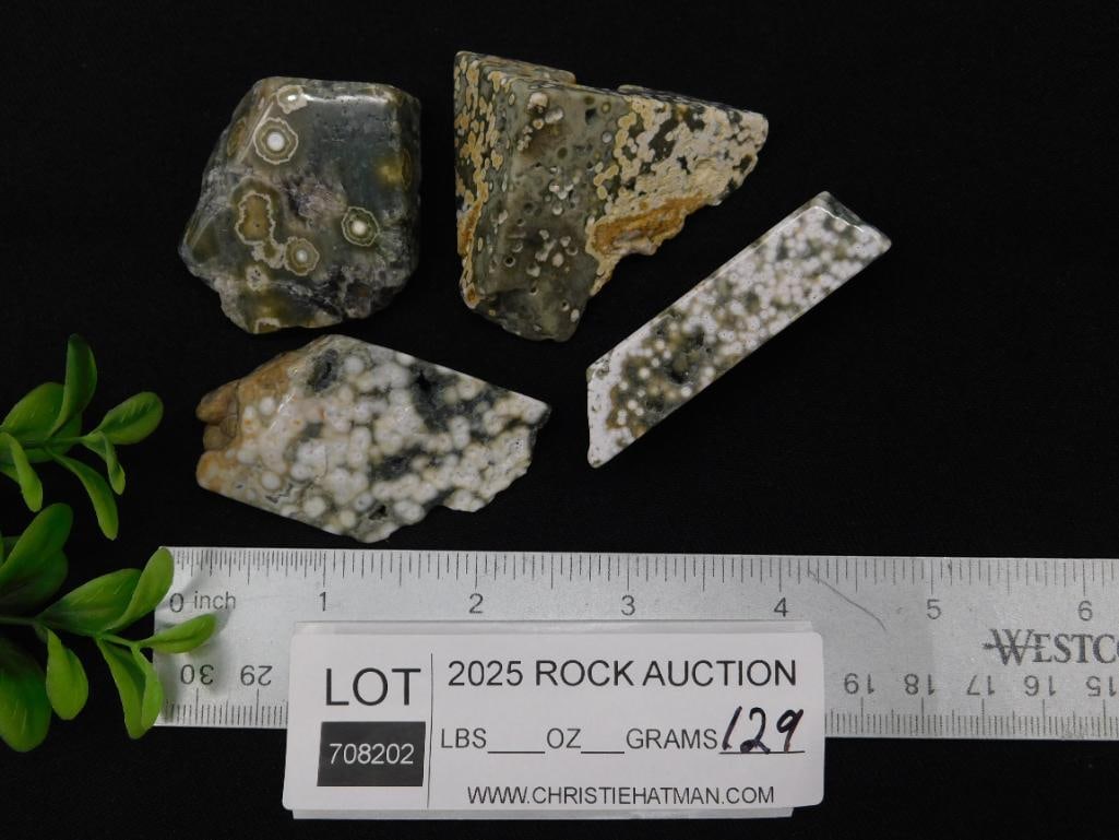 OCEAN JASPER ROCK STONE LAPIDARY SPECIMEN - 3