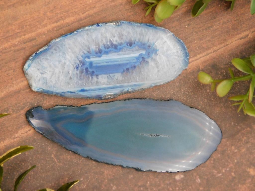 Agate Slices Rock Stone Lapidary Specimen: Agate Slices Rock Stone Lapidary Specimen