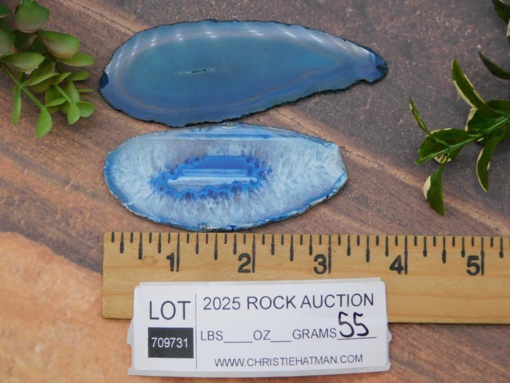 Agate Slices Rock Stone Lapidary Specimen - 2