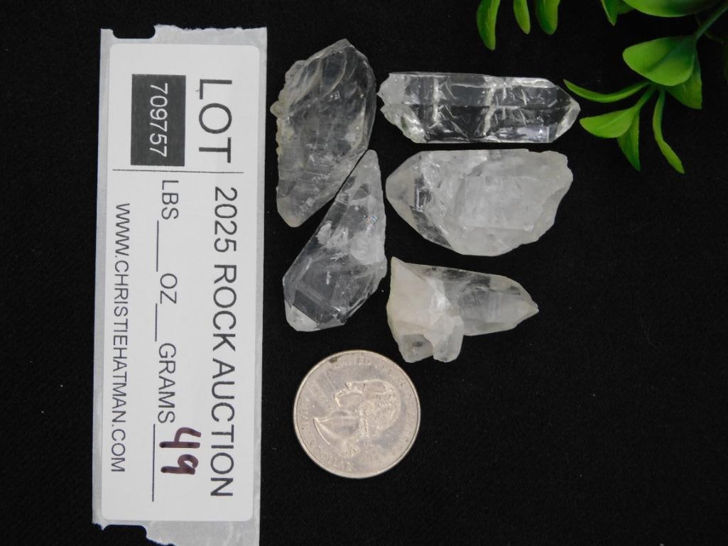 Five Clear Quartz Crystal Points Rock Stone Lapidary Specimen - 2