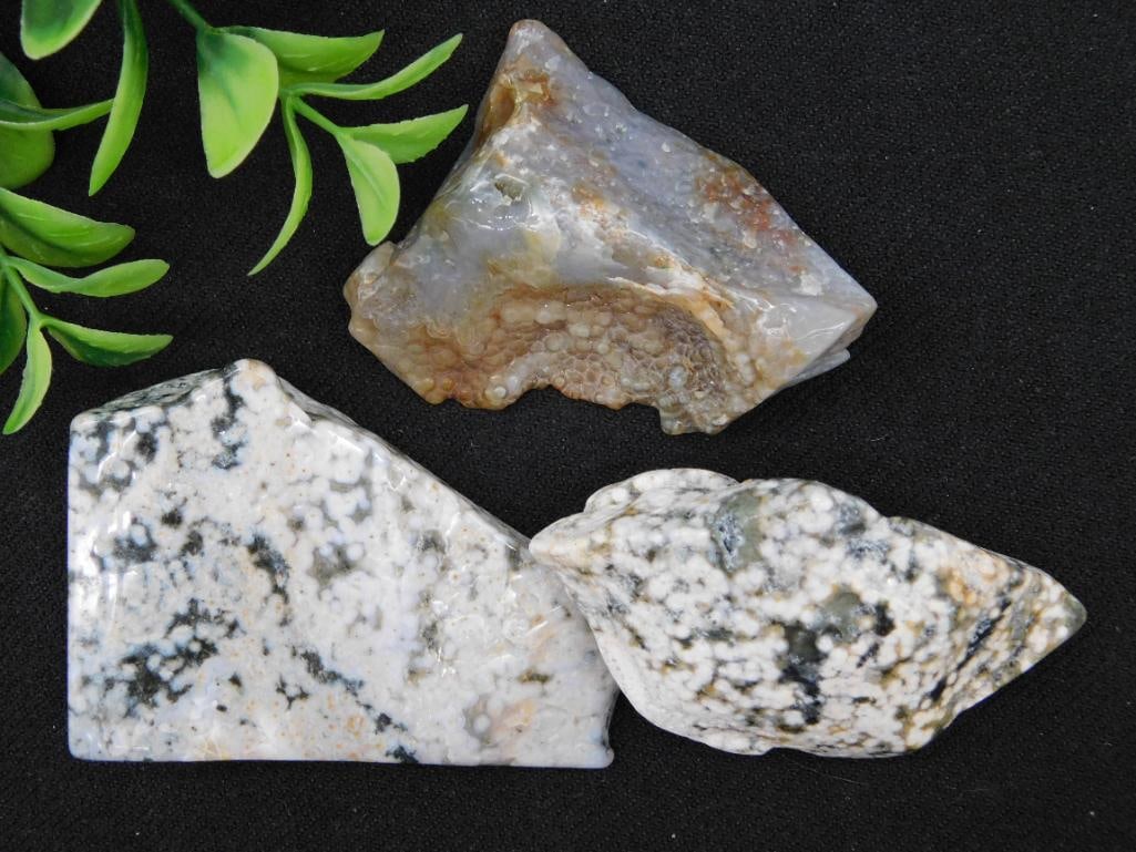 Three Ocean Jasper Specimens Rock Stone Lapidary Specimen: Three Ocean Jasper Specimens Rock Stone Lapidary Specimen