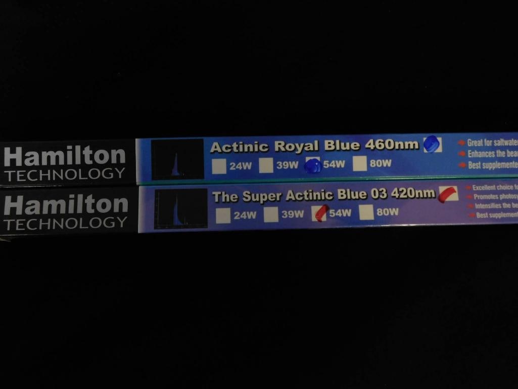 Hamilton Technology Aquarium Lighting Bulbs: Hamilton Technology Aquarium Lighting Bulbs