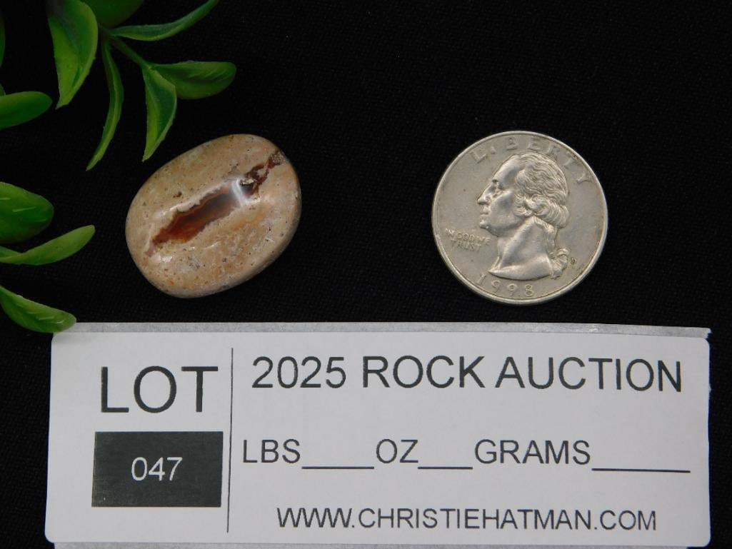 Opal Cabochon Rock Stone Lapidary Specimen - 2