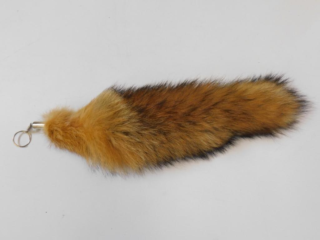 RED FOX TAIL TAXIDERMY WITH KEY CHAIN: RED FOX TAIL TAXIDERMY WITH KEY CHAIN