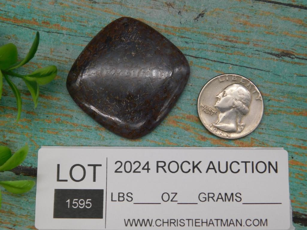 DINOSAUR BONE CABOCHON ROCK STONE LAPIDARY SPECIMEN - 2