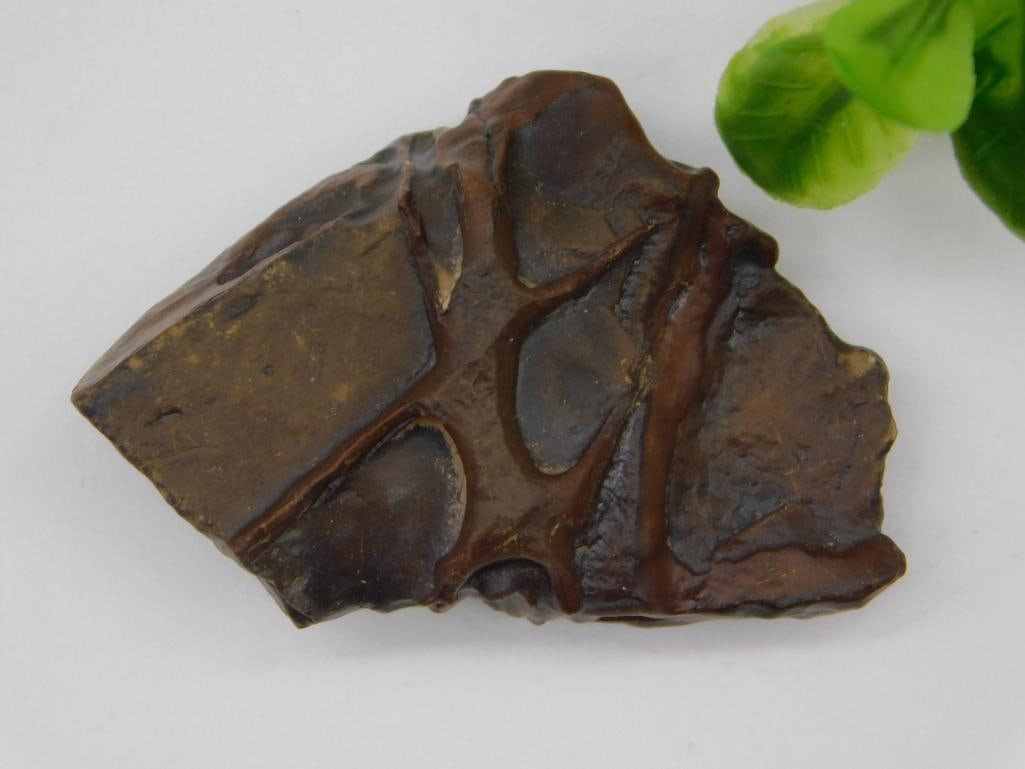 STROMATOLITE ROCK STONE LAPIDARY SPECIMEN: STROMATOLITE ROCK STONE LAPIDARY SPECIMEN