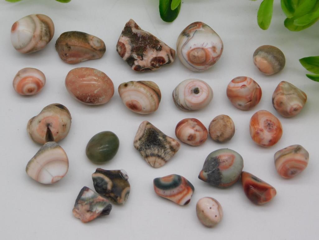 THOMPSONITE ROCK STONE LAPIDARY SPECIMEN: THOMPSONITE ROCK STONE LAPIDARY SPECIMEN