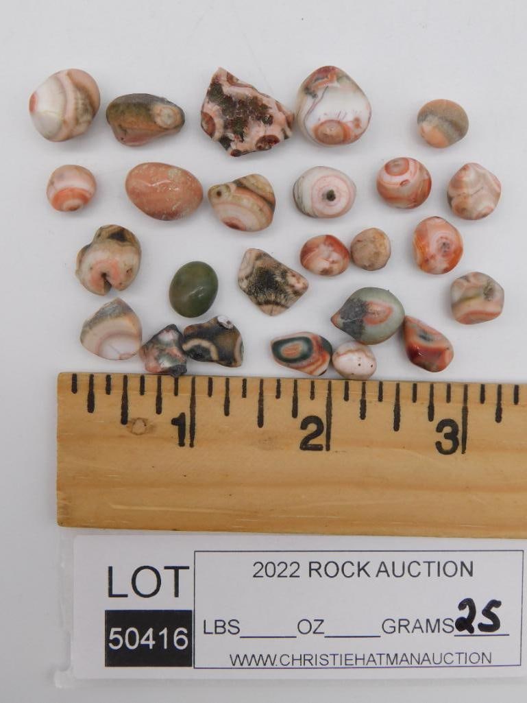 THOMPSONITE ROCK STONE LAPIDARY SPECIMEN - 2