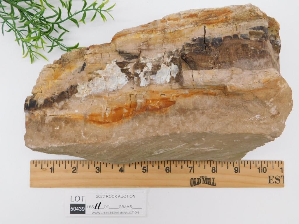 11 POUND ROCK STONE LAPIDARY SPECIMEN - 3