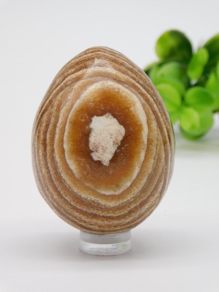 BANDED JASPER EGG ROCK STONE LAPIDARY SPECIMEN: BANDED JASPER EGG ROCK STONE LAPIDARY SPECIMEN