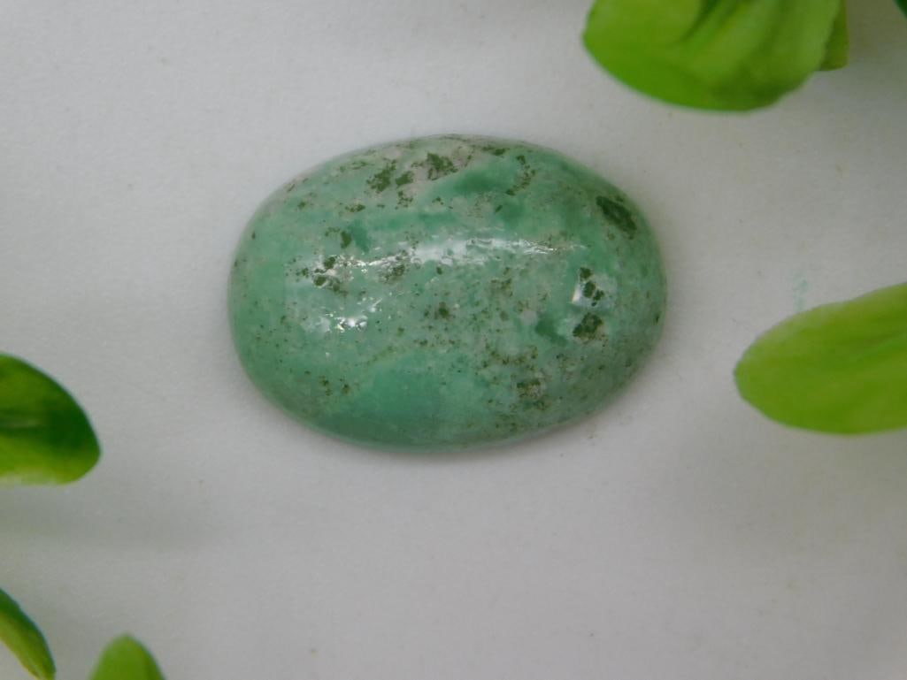 VARISCITE CABOCHON ROCK STONE LAPIDARY SPECIMEN: VARISCITE CABOCHON ROCK STONE LAPIDARY SPECIMEN