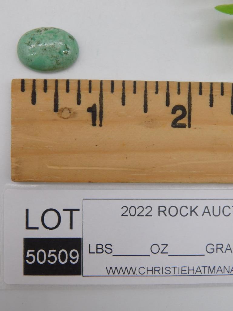 VARISCITE CABOCHON ROCK STONE LAPIDARY SPECIMEN - 2