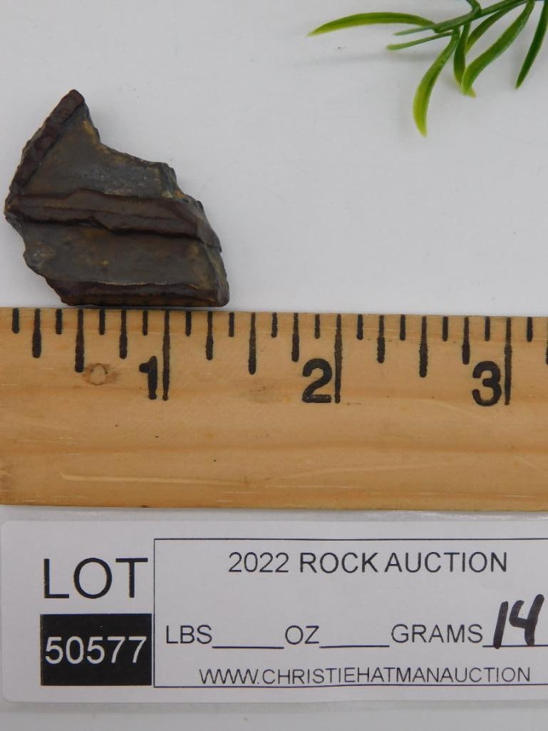 STROMATOLITE ROCK STONE LAPIDARY SPECIMEN - 2