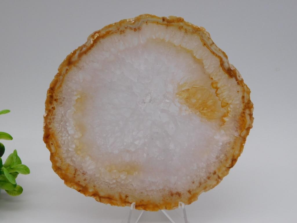 AGATE SLICE ROCK STONE LAPIDARY SPECIMEN: AGATE SLICE ROCK STONE LAPIDARY SPECIMEN