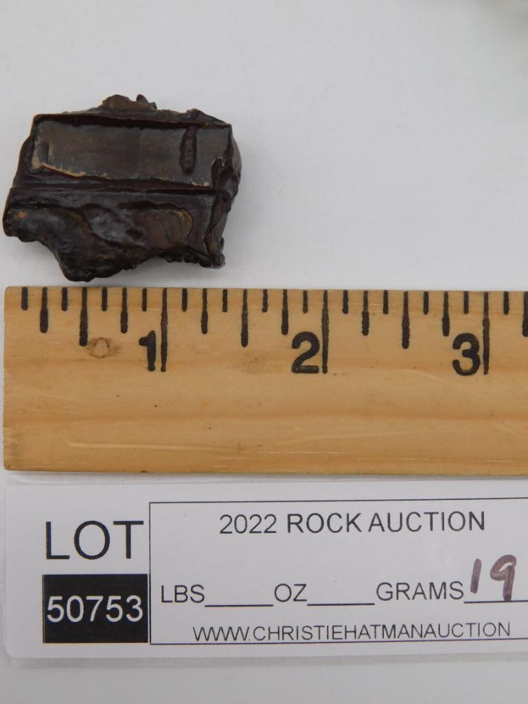 STROMATOLITE ROCK STONE LAPIDARY SPECIMEN - 2