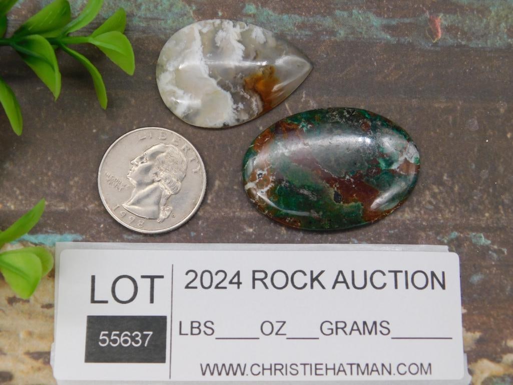 CABOCHONS ROCK STONE LAPIDARY SPECIMEN - 2