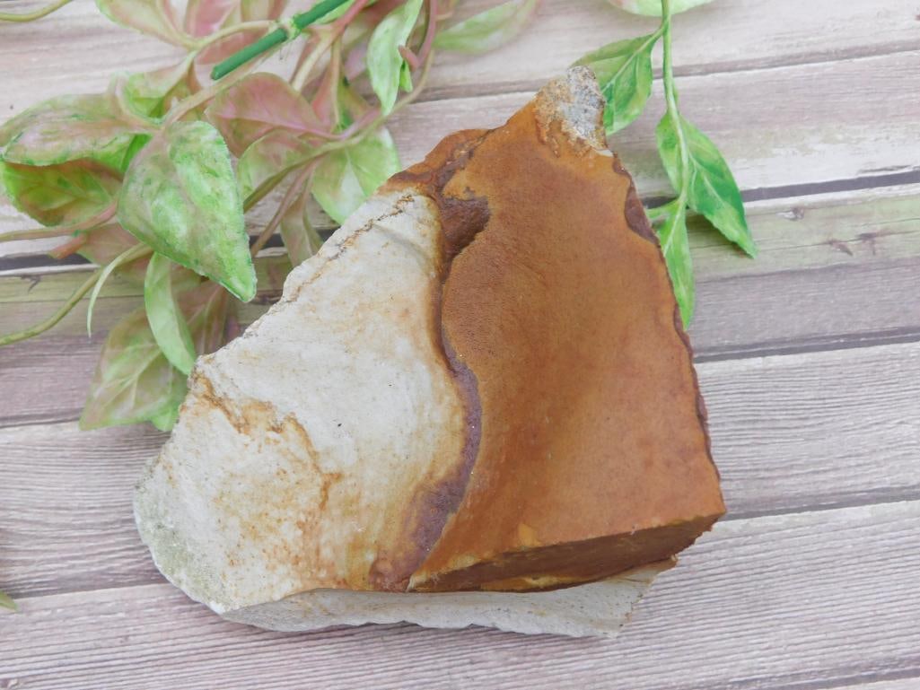 JASPER ROCK STONE LAPIDARY SPECIMEN - 2