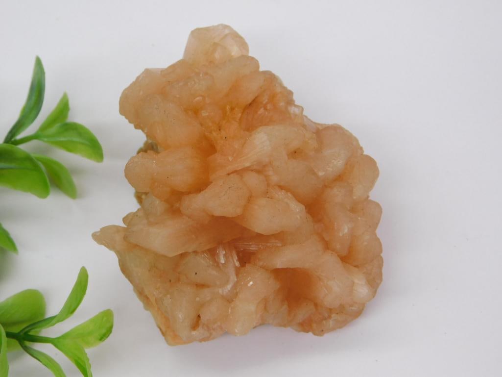 ROCK STONE LAPIDARY SPECIMEN: ROCK STONE LAPIDARY SPECIMEN