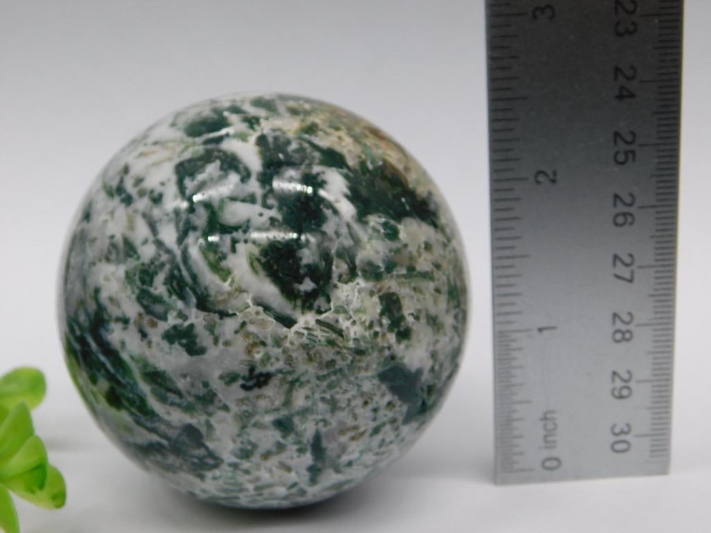 TREE AGATE SPHERE ROCK STONE LAPIDARY SPECIMEN - 2