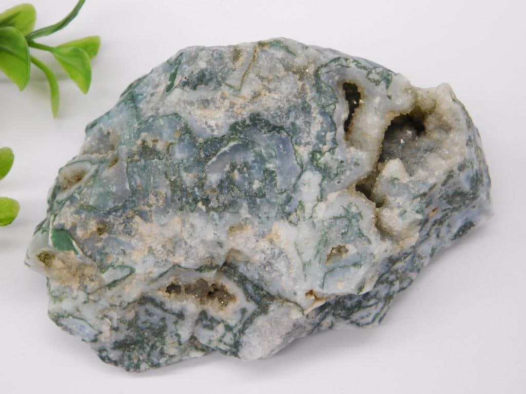 MOSS PLUME AGATE ROCK STONE LAPIDARY SPECIMEN: MOSS PLUME AGATE ROCK STONE LAPIDARY SPECIMEN