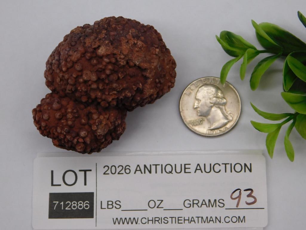 COPROLITE ROCK STONE LAPIDARY SPECIMEN - 2
