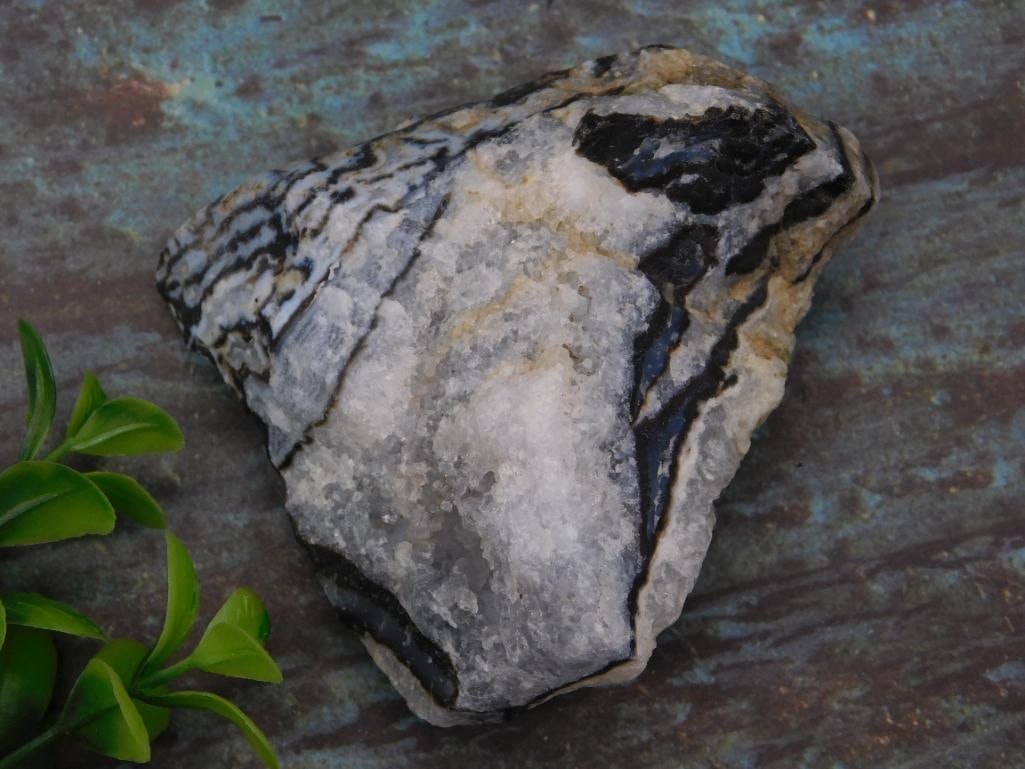 ZEBRA ROCK STONE LAPIDARY SPECIMEN: ZEBRA ROCK STONE LAPIDARY SPECIMEN