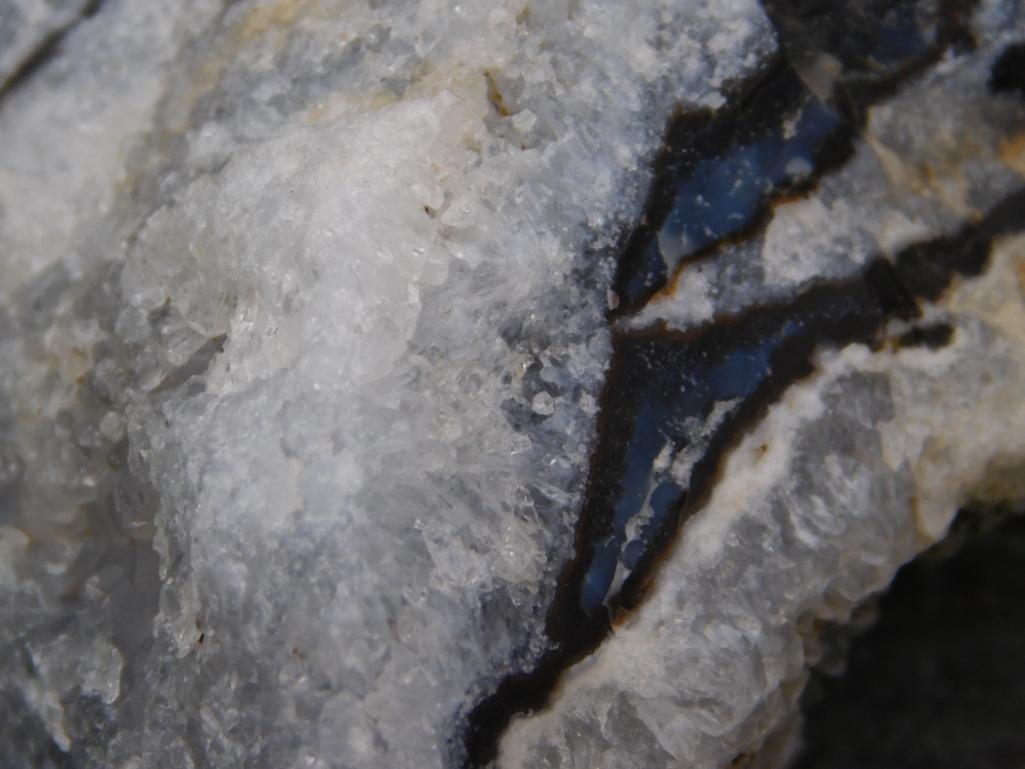 ZEBRA ROCK STONE LAPIDARY SPECIMEN - 2