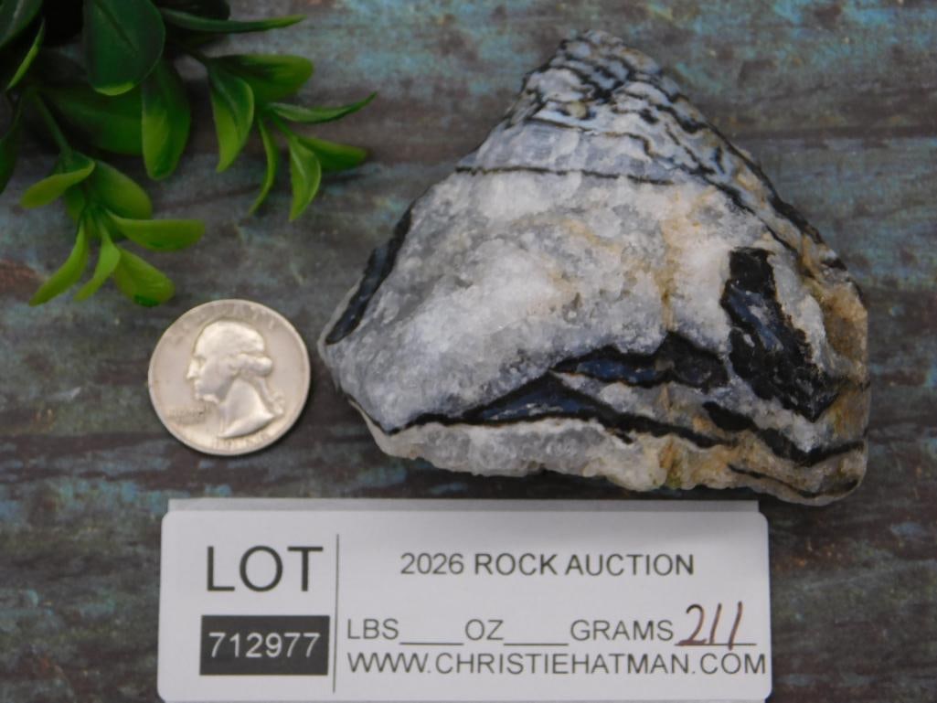 ZEBRA ROCK STONE LAPIDARY SPECIMEN - 3