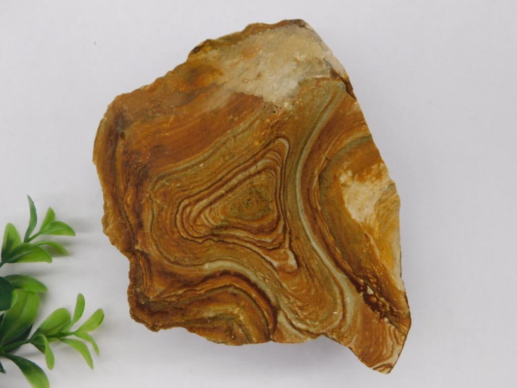 JASPER ROCK STONE LAPIDARY SPECIMEN: JASPER ROCK STONE LAPIDARY SPECIMEN