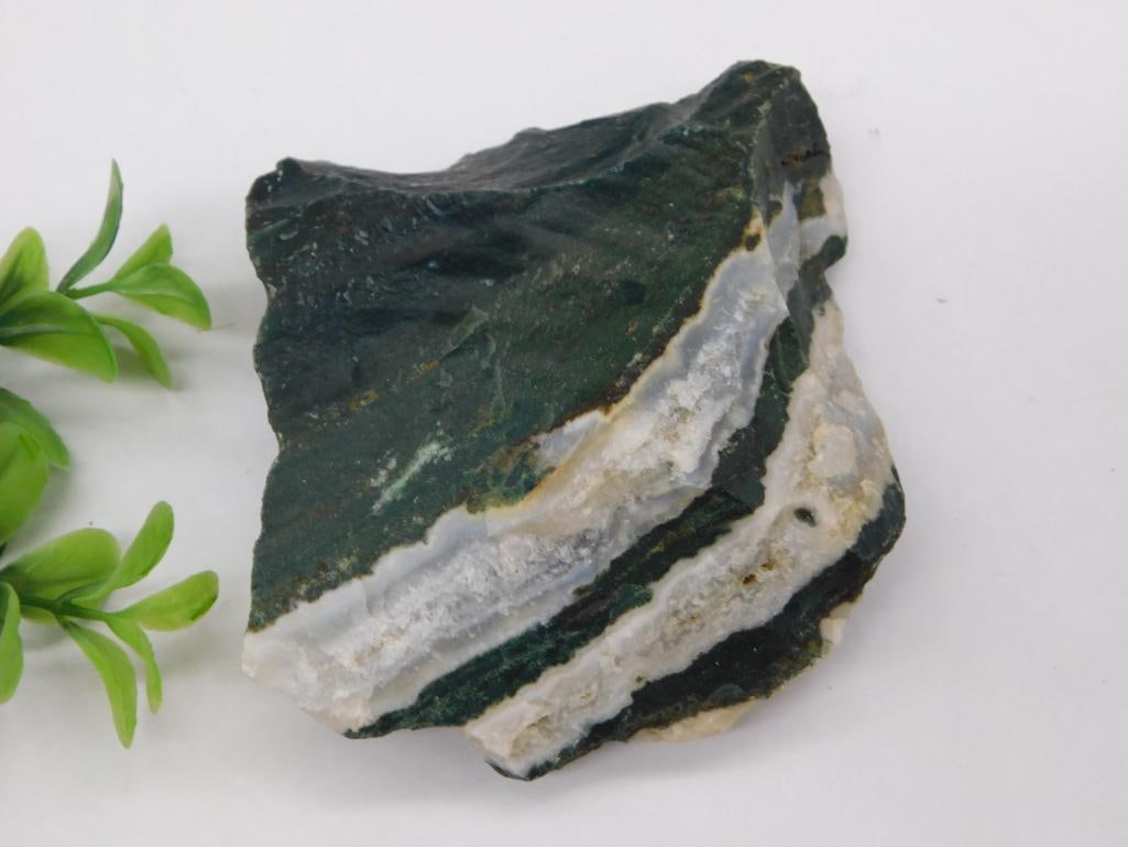 ZEBRA ROCK STONE LAPIDARY SPECIMEN: ZEBRA ROCK STONE LAPIDARY SPECIMEN