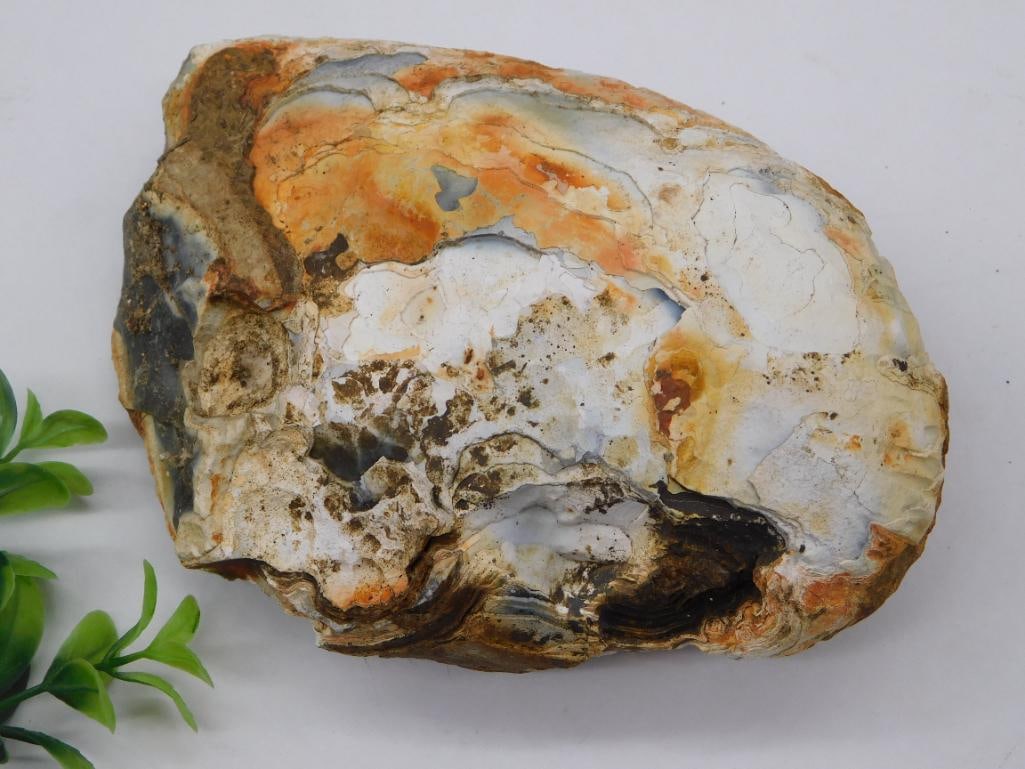 AGATE ROCK STONE LAPIDARY SPECIMEN (1 of 2)