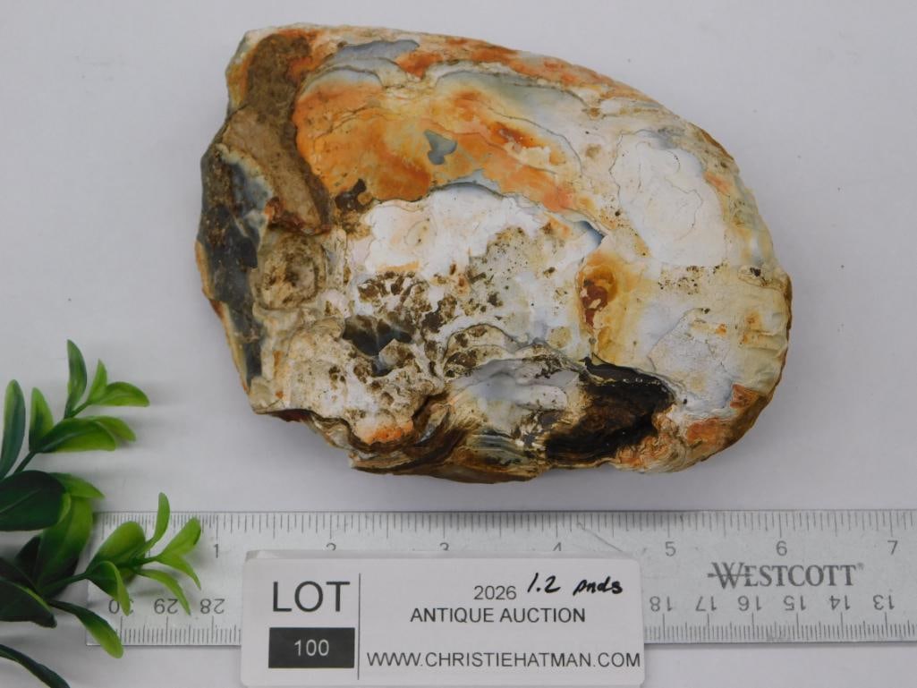 AGATE ROCK STONE LAPIDARY SPECIMEN - 2