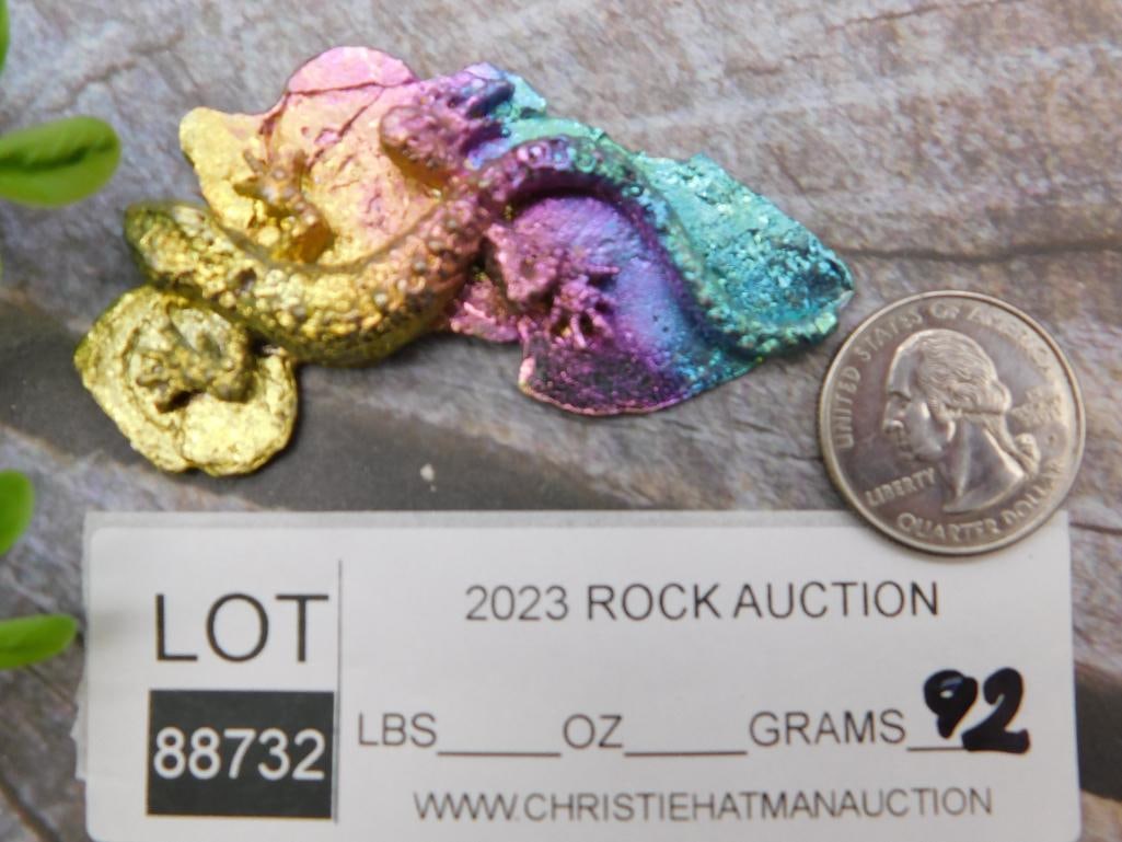 BISMUTH LIZARD ROCK STONE LAPIDARY SPECIMEN - 2