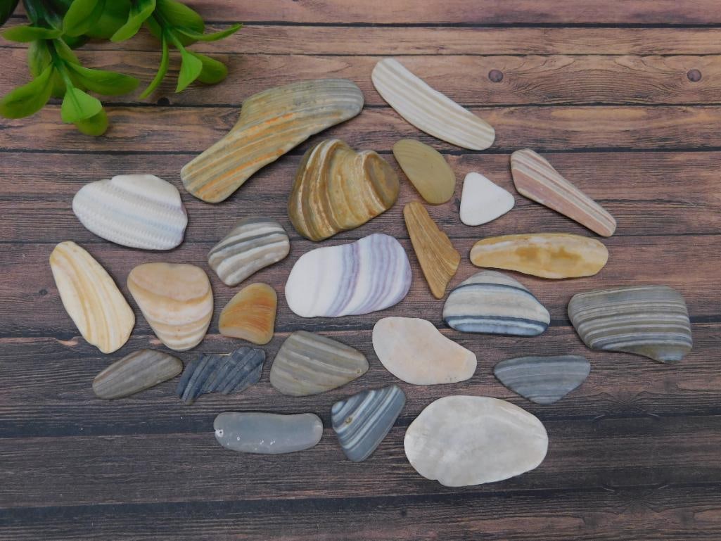 ROCK STONE LAPIDARY SPECIMEN: ROCK STONE LAPIDARY SPECIMEN