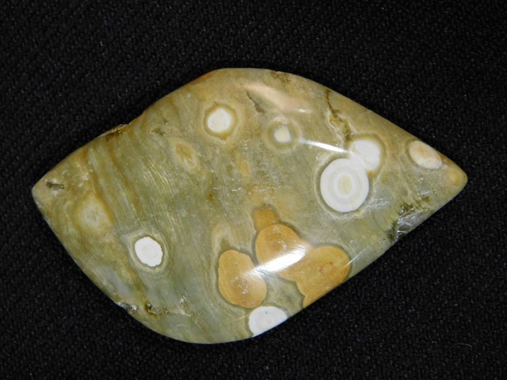 OCEAN JASPER CABOCHON ROCK STONE LAPIDARY SPECIMEN (1 of 2)
