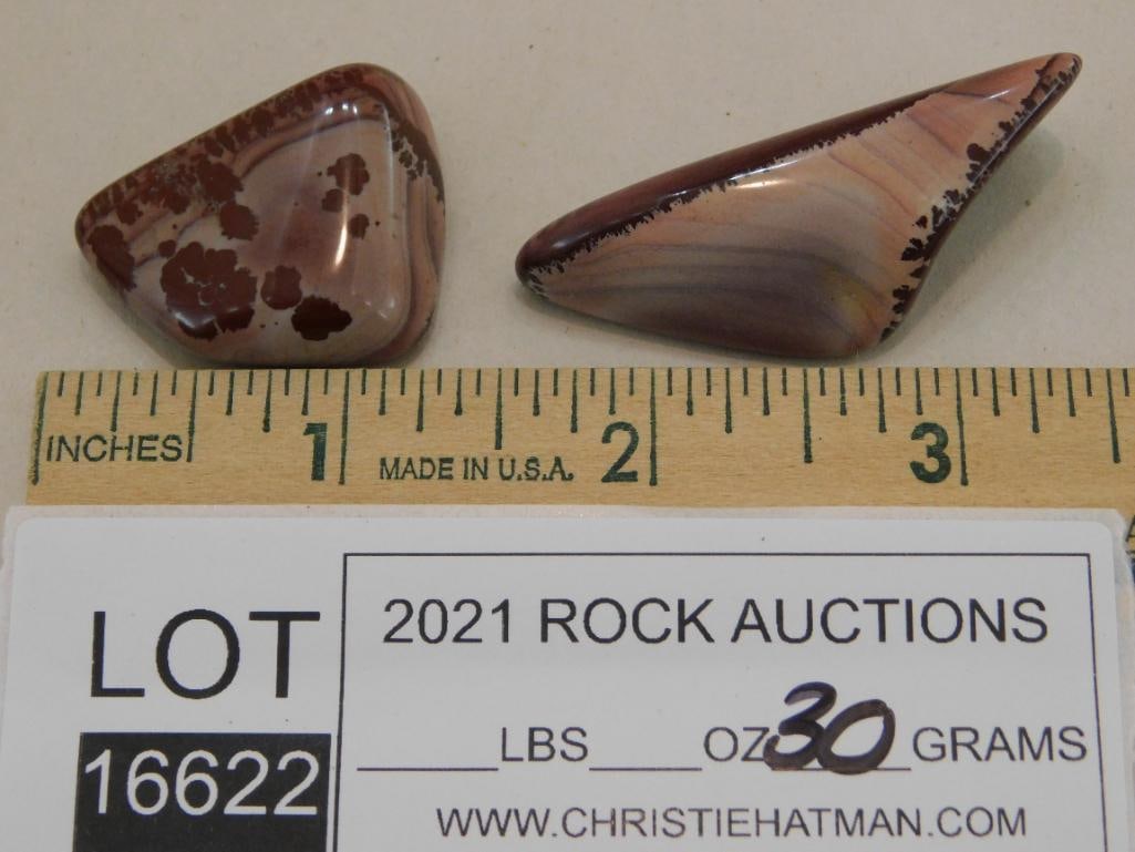 APACHE DENDRITIC RHYOLITE ROCK STONE LAPIDARY SPECIMEN - 2