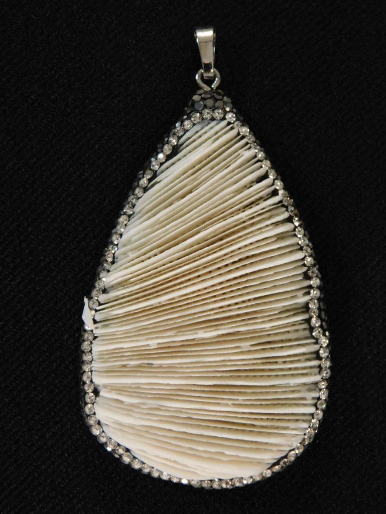 CORAL PENDANT ROCK STONE LAPIDARY SPECIMEN: CORAL PENDANT ROCK STONE LAPIDARY SPECIMEN