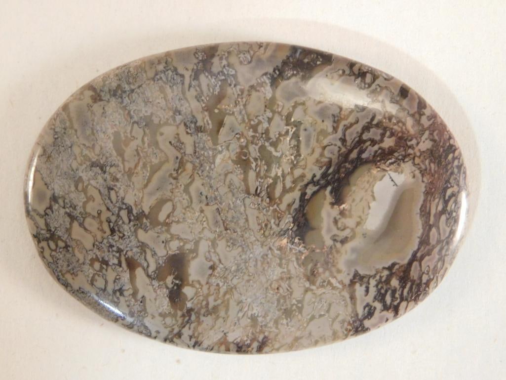 DINOSAUR BONE CABOCHON ROCK STONE LAPIDARY SPECIMEN (1 of 2)