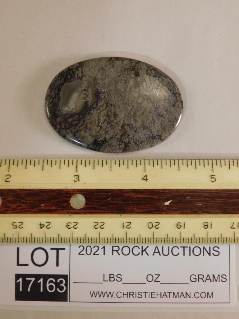 DINOSAUR BONE CABOCHON ROCK STONE LAPIDARY SPECIMEN - 2