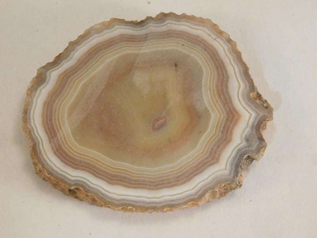AGATE SLICE ROCK STONE LAPIDARY SPECIMEN: AGATE SLICE ROCK STONE LAPIDARY SPECIMEN
